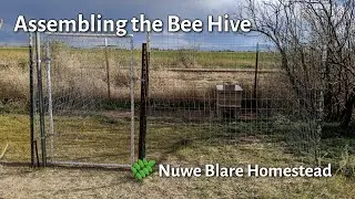 Bee Hive Assembly