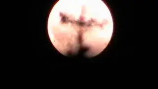 MOV00D