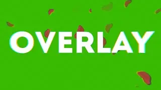 Green Screen Roses Petals Animation 4K UHD by Green Screen Animation