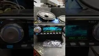 Old school pioneer