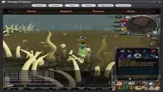 Prodigy-X Reborn Sunfreet Guide