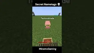 Technoblade name tag in minecraft #minecraft #memes #gaming