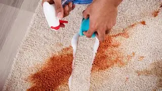 How to get Hair Dye out of a Carpet &ndash; Great Cleaning Tips!