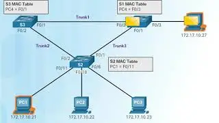 3.1.1.4 Duplicate Unicast Frames