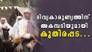 ദിവ്യകാരുണ്യത്തിന് അകമ്പടിയുമായി കുതിരപ്പട | Shekinah Television