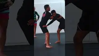 Начните бить SASAE с этими данными #дзюдо