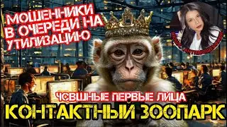 Мошенник клянется мамой, или снизу постучали  /Нюша /Антимошенники