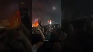Spitnoise - Live at Free Festival ❤️