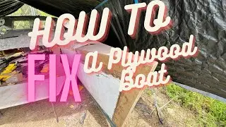The Start of Serious Rot Fixing on my 1980's 30ft Catamaran