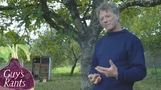 Guy's Revolution: Going nuts for the future