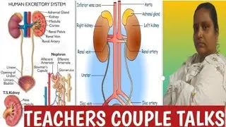 excretion||different type of exception organs in animals||human exception system...!