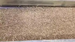Corinth Premium Wood Pellets