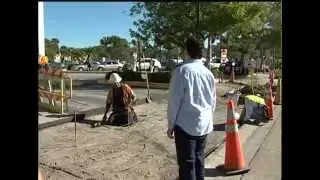 Project Manager - I Am Pinellas County