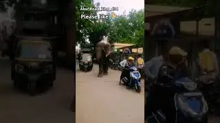 #rider #mount #hillstation #in #travel #badroads #mountabu #waterfall #roadlayout#rajasthan #youtube
