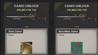 I FINALLY Unlocked The GOLD Camo For The Pelington 703! |  Nuketown '84 Highlights + Holiday