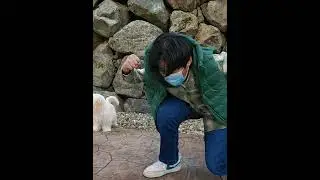 #cool #edit #music #song #amazing #wow #algorithm #shorts #short