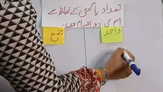 Urdu Ustad &ndash;| Learn Urdu easily and joyfully 🔤✍️