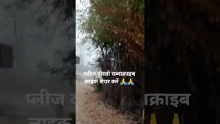 crow pheasant bird sound video/महुआ का आवाज करते हुएउड़ान भर्ती