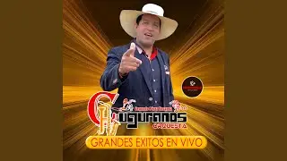 Marinera Y Huayno