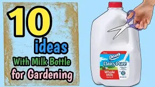 10 Milk bottle ideas for Gardening | Best use of waste | Milk bottle | life Hacks |