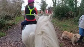Hanchurch Woods