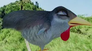 3D Animation | Maina bird #animation #3dArtwork #maina