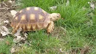 Touch Grass