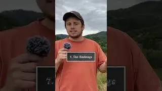 How to Grow on Instagram 2022 (Tip 7 of 7) #Shorts