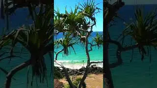 ☀Sea Breeze🌊