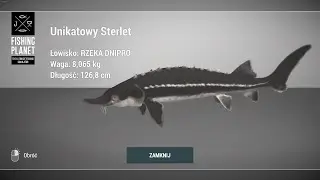 Fishing Planet Dnipro River Ukraine Unique Sterlet | Unikatowy Sterlet #fishingplanet #dnipro #river