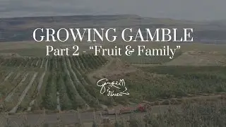 Growing Gamble - Part 2 