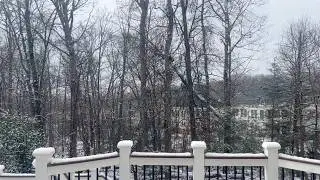 fall and winter diaries