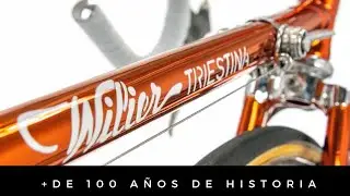 WILIER TRIESTINA