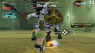 HY Age of Imprisonment | Trial: Overcoming Limits, Defeated Lynel - Blue-Maned, White & Silver