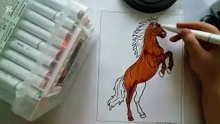 COLORING HORSE VIDEO 🐎 ENJOY ASMR COLORING VIDEO