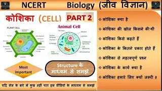What is cell | Human Cell in Hindi | Function of cell | Types of cell | Cell Biology | cell Membrane