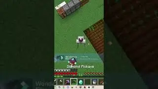 Want to join me in my Hardcore Adventure?