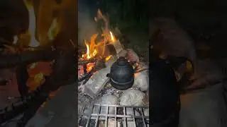 Fire dances in the forest,while the #short #hangdrum #fireworks handpan hums to the silent night