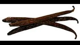 madagascar vanilla