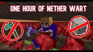 How Much Money Does A Farming Noob Make In One Hour of Nether Wart?
