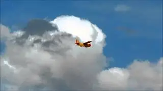 Puddle Twin I - Balu`s R&uuml;ckehr