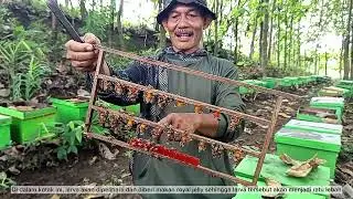Tugas BATHL Kelompok 7 