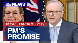 'More could have been done': PM promises raft of reforms to tackle antisemitism | 9 News Australia