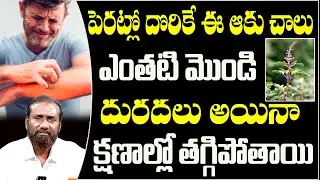ఇలా చేస్తే దురదలు తగ్గిపోతాయి | Home Remedies for Skin Dieses | Shaik Nabi Rasool about Itching