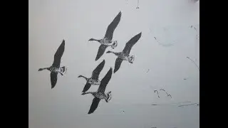 Jagen - Randmeer ganzenbeheer.