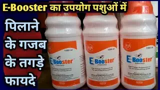 E-Booster/Energy Supplement Benifits/Usages/Dosage कब कैसे उपयोग करें
