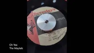 Oh Yea-The Maytals
