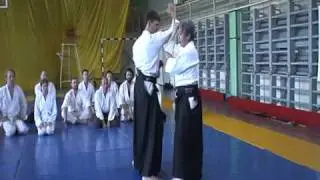 Aikido - Shomeuchi Iriminage