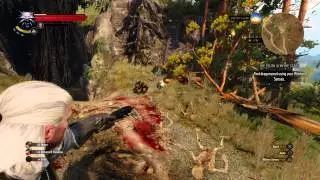 The Witcher 3: Monty Python Reference