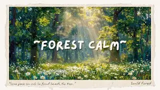 Sunlit Forest Lo-Fi 🌿Calm Beats for Relaxation & Focus ✨